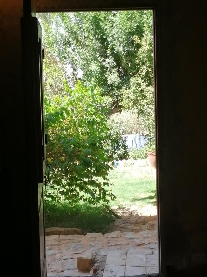 Studio In Byoum By Qaroun Lake In Fayoum Qaryat at Ta'mir as Siyahiyah エクステリア 写真